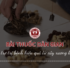 Cây Xương Khỉ Có Tác Dụng Gì? Mách Bạn 8 Bài Thuốc Dân Gian Hiệu Quả